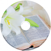 BMP-053 - Orchid on Bible