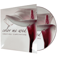 CDs in Sleeves
