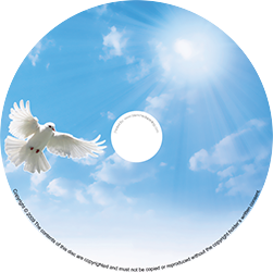 Bird flying in the sky on a CD