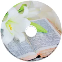 BMP-053 - Orchid on Bible