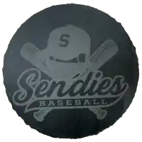 Laser Engraved Round Stone Coasters